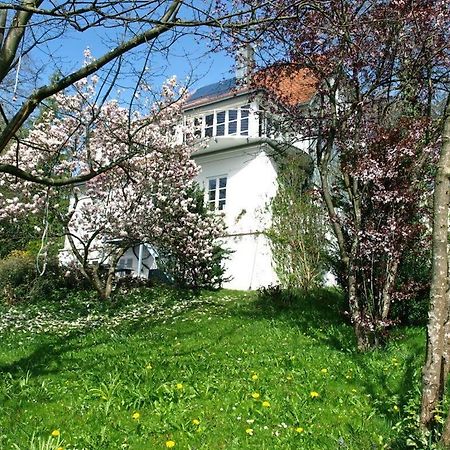 Ferienwohnung Dausacker ウッティング・アム・アンマーゼー エクステリア 写真